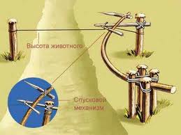 Эзотерический сонник. Толкование сна: _ Западня, волчья яма.